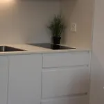 Apartamento Rurales Patxillaborda