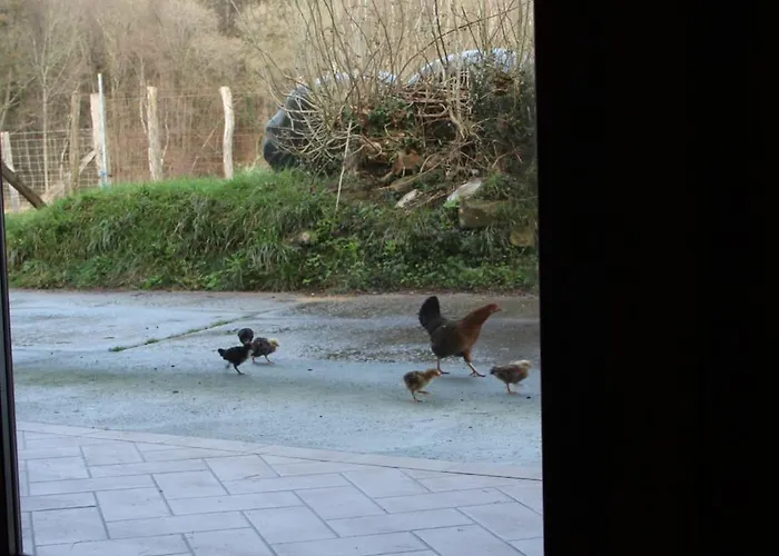 Rurales Patxillaborda Lägenhet Lezo