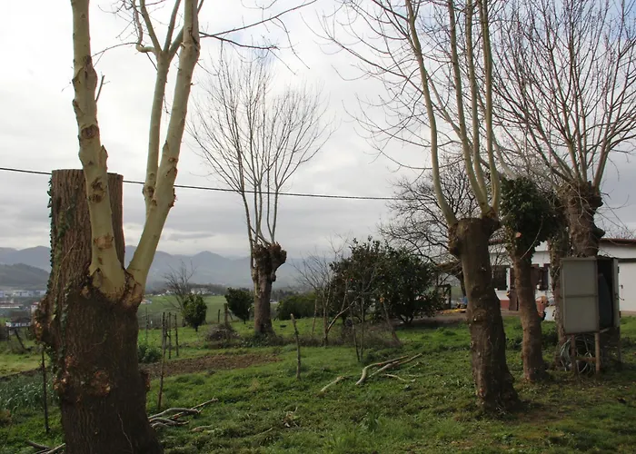 Lägenhet Rurales Patxillaborda *