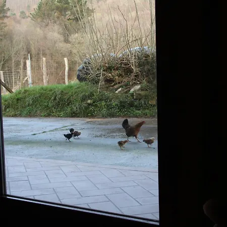 Rurales Patxillaborda Appartement Lezo